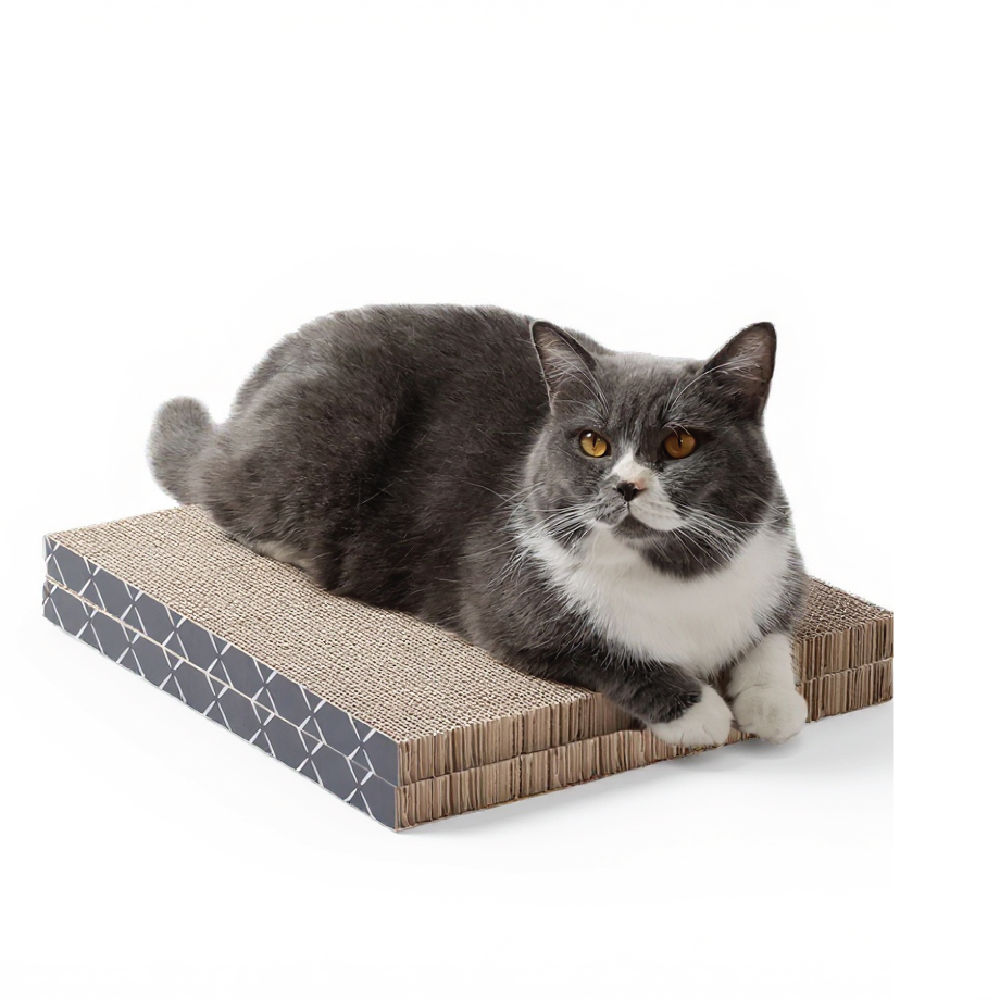 Scratch Pad Refills for Hide & Scratch Box (or use on their own)-2