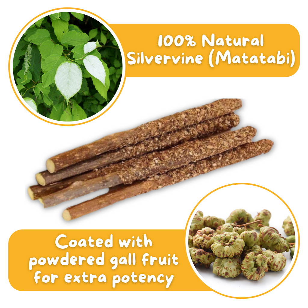 Premium Silvervine Sticks with Gall Fruit Powder (12 ct)-2