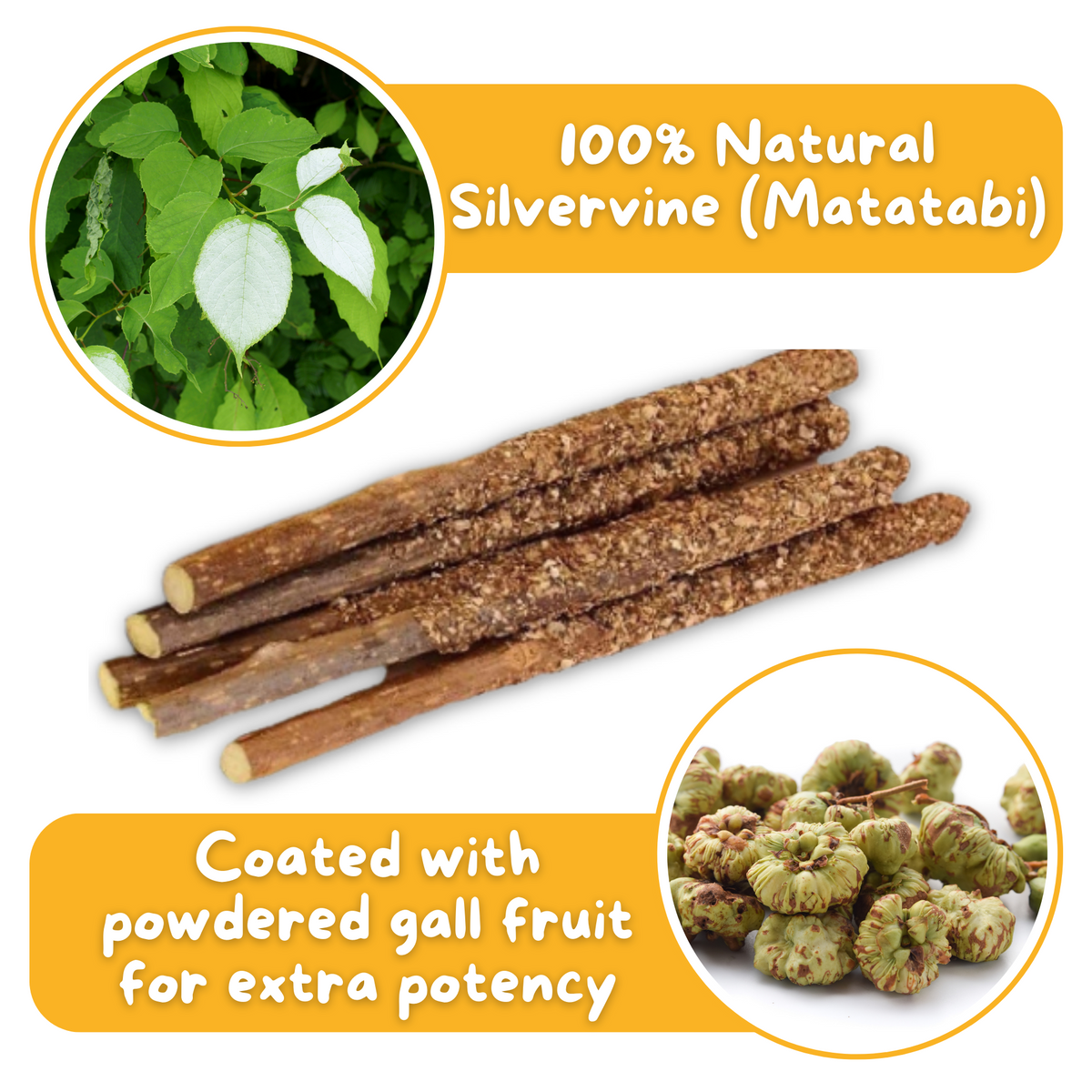 Premium Silvervine Sticks with Gall Fruit Powder (12 ct)-2