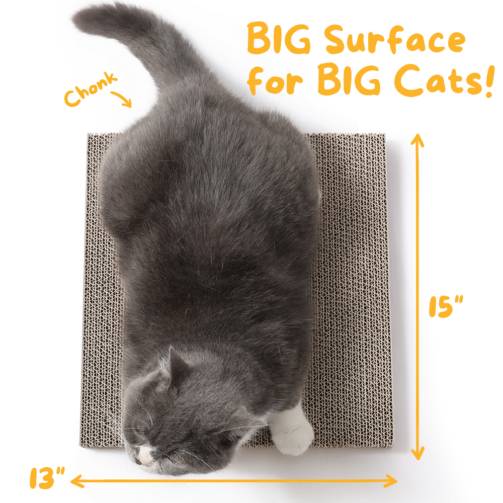 Scratch Pad Refills for Hide & Scratch Box (or use on their own)-1