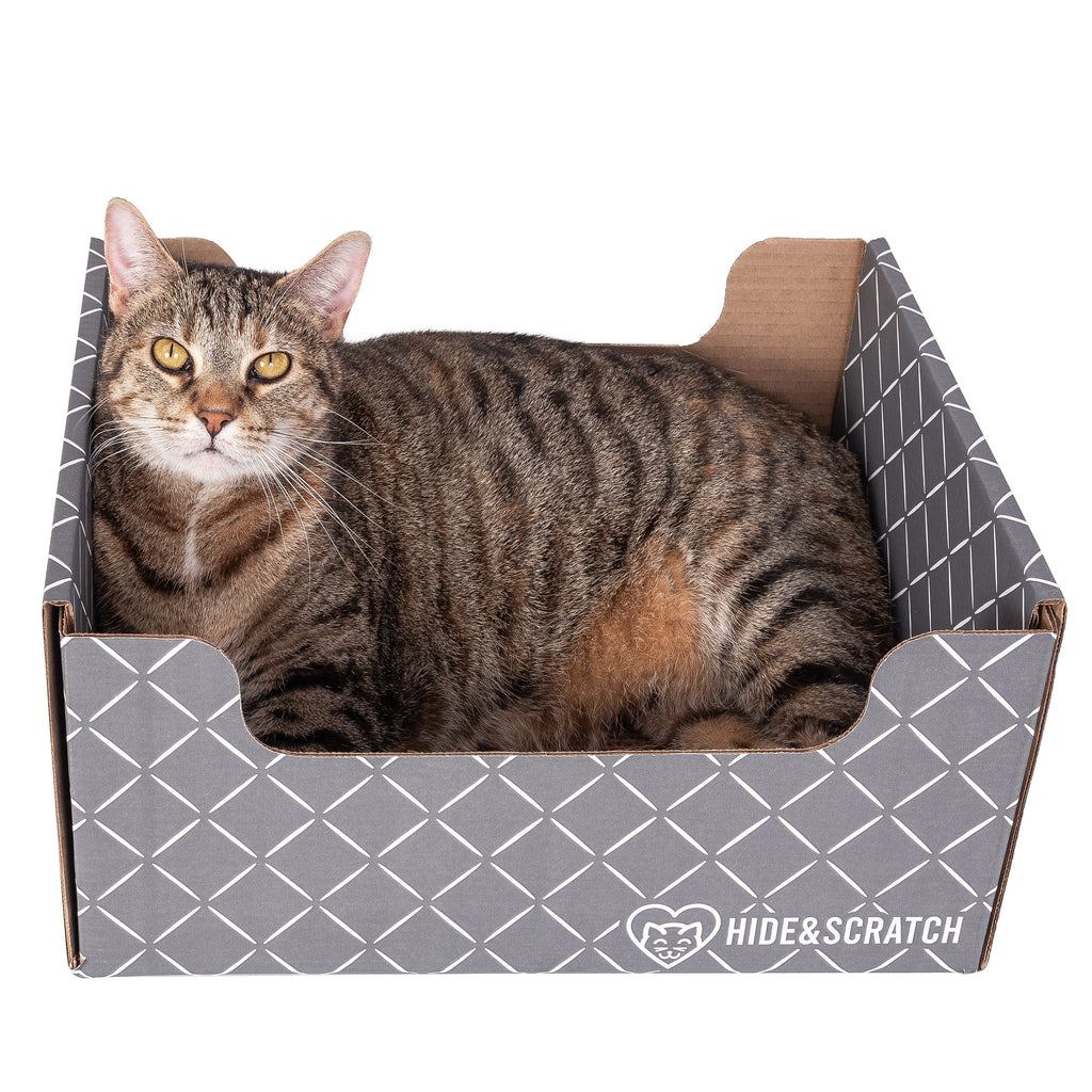 Hide & Scratch Extra-Large Cat Scratcher Box-5