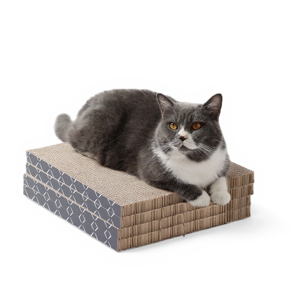 Scratch Pad Refills for Hide & Scratch Box (or use on their own)-3