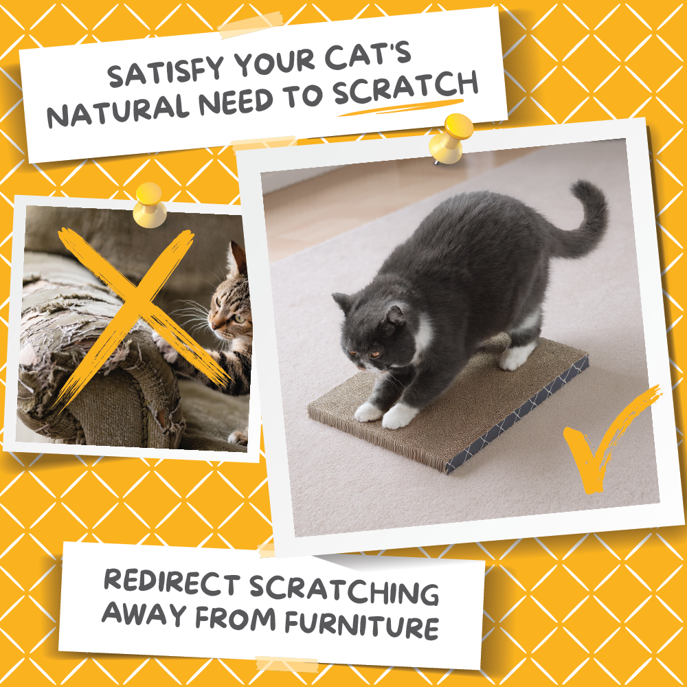 Scratch Pad Refills for Hide & Scratch Box (or use on their own)-4