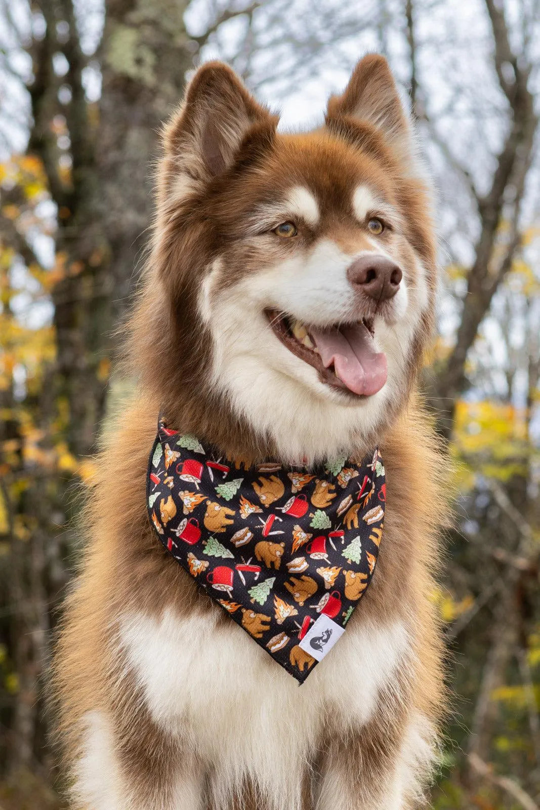 Woodland Tales Dog Bandana-1