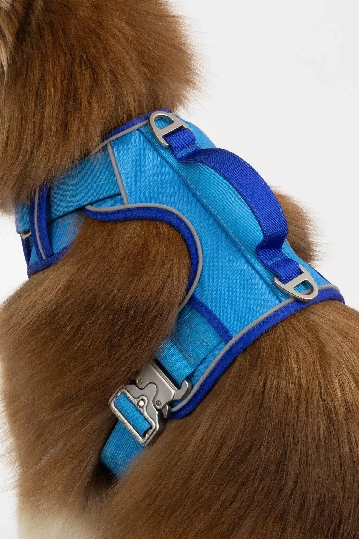 Dockside Adventures Ultimate Harness-0