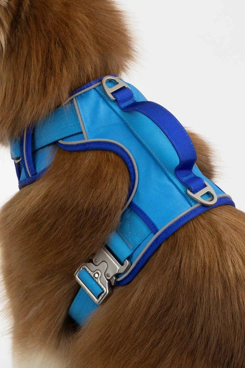 Dockside Adventures Ultimate Harness-0