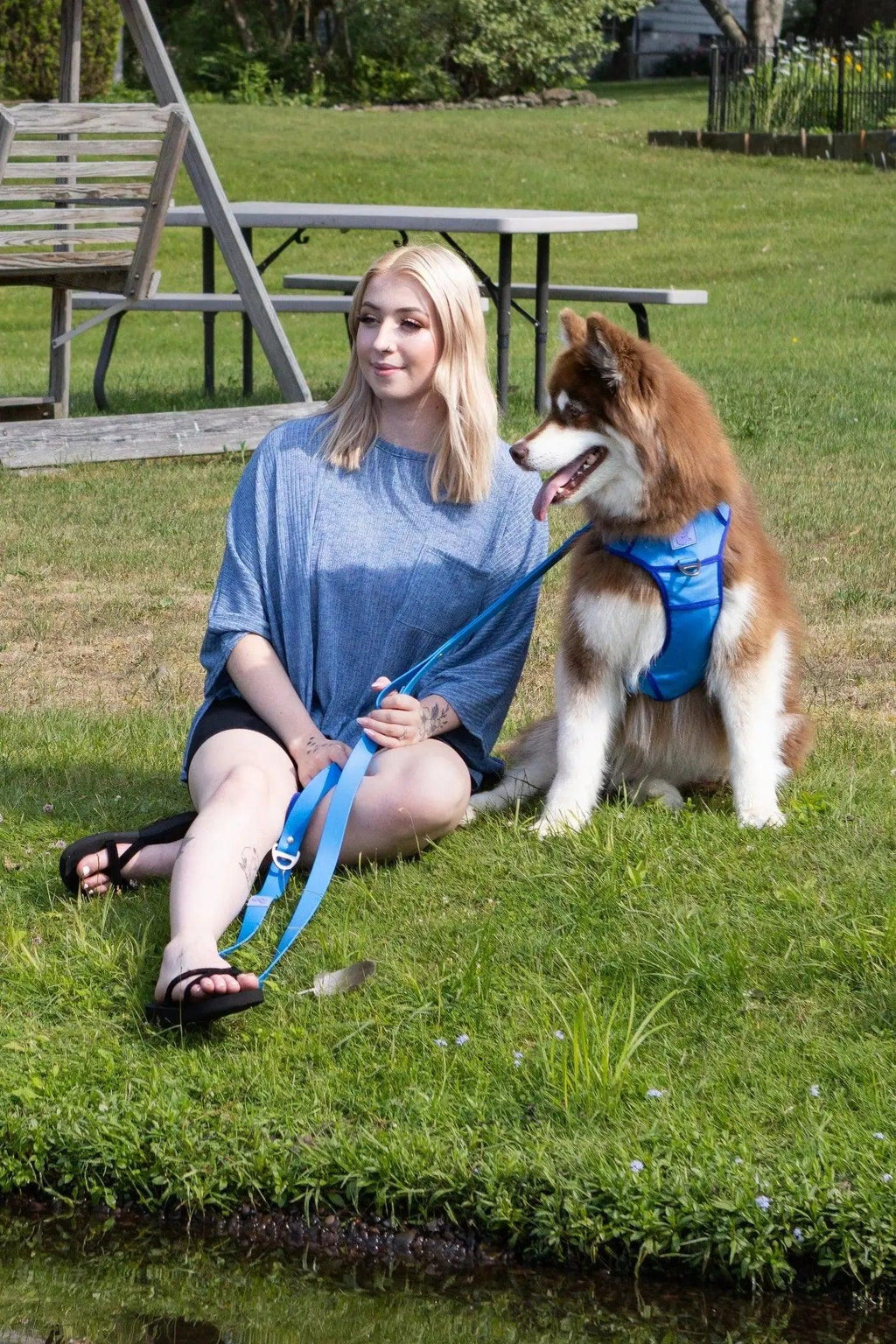 Dockside Adventures Ultimate Harness-2