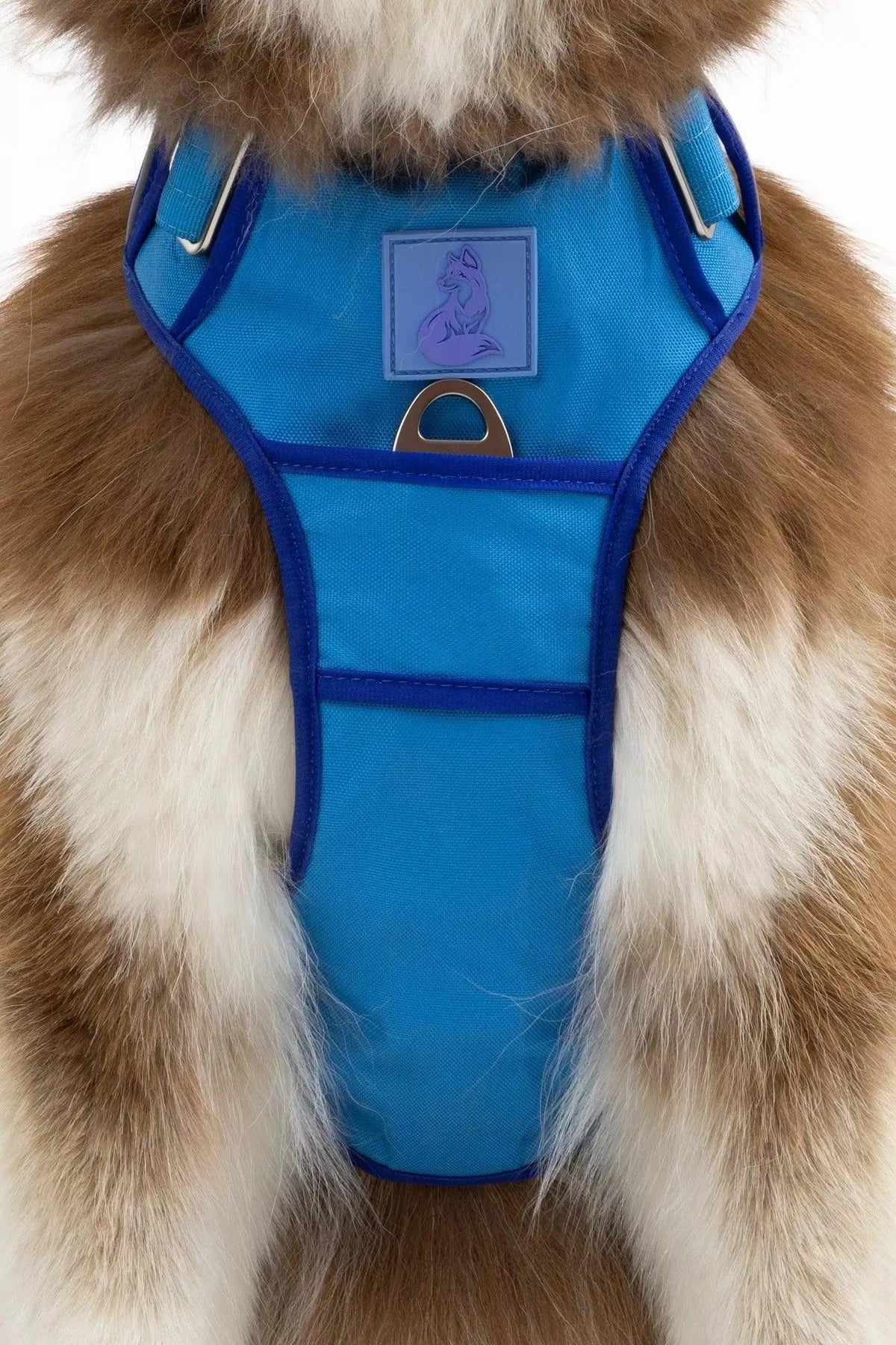 Dockside Adventures Ultimate Harness-3