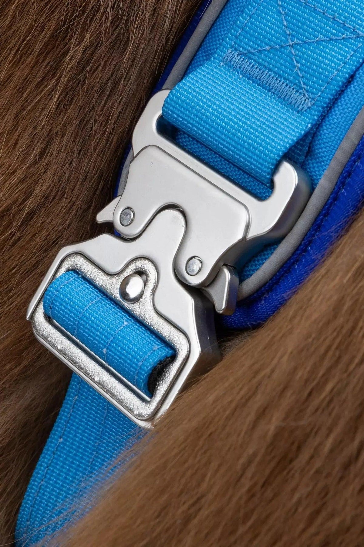 Dockside Adventures Ultimate Harness-4