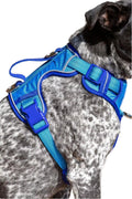 Dockside Adventures Ultimate Harness-5
