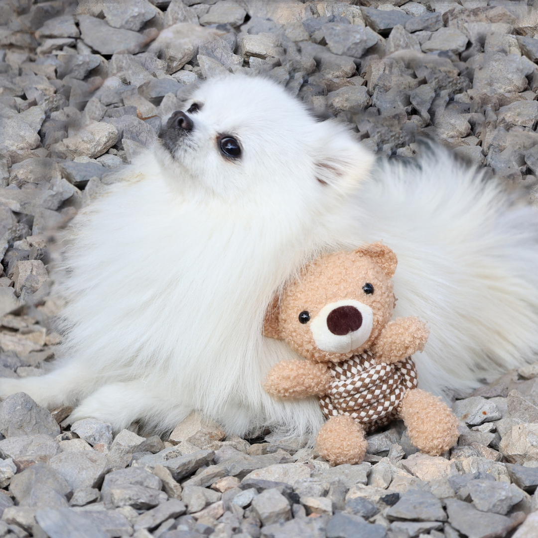 Squeaky Rope Buddies-2