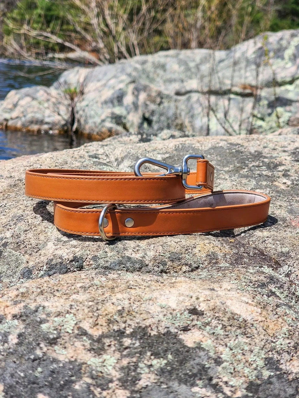 Sierra Sunrise Vegan Leather Dog Leash-3